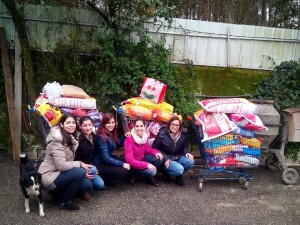 Entrega alimentos cantinho